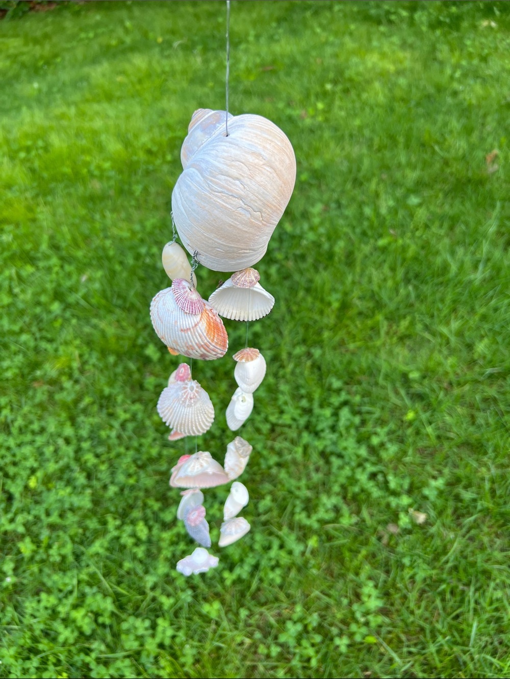 Handmade Seashell Wind Chime - Natural Shells - Picture 2 of 10